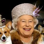 Английская королева с собаками