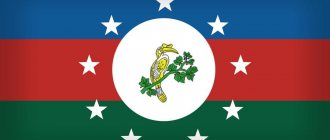 Флаг штата Чин