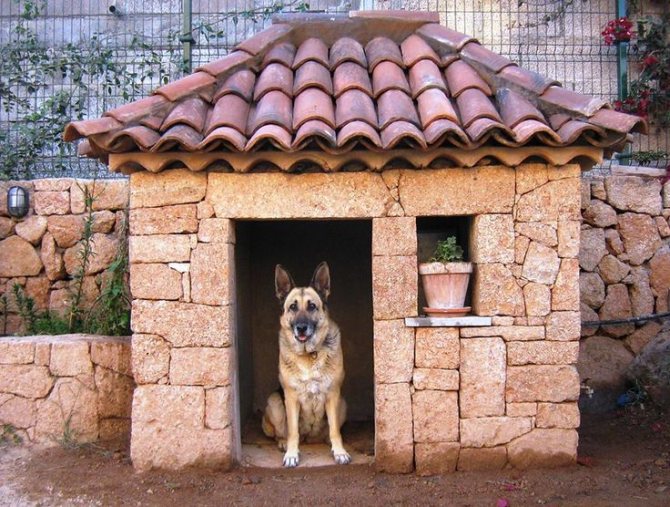 Красивые домики для собак в квартиру своими руками 6 подробных мастер классов