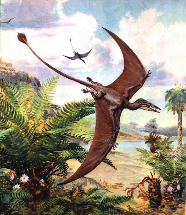 летающий динозавр юрского периода