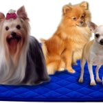 Многоразовые пеленки для собак Талисмед: отзывы