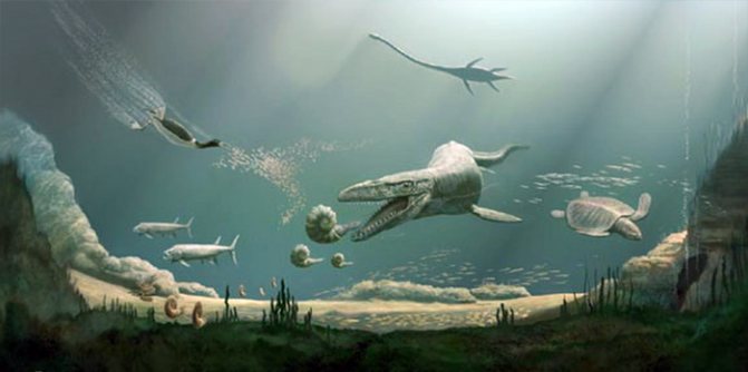 Морские животные мелового периода