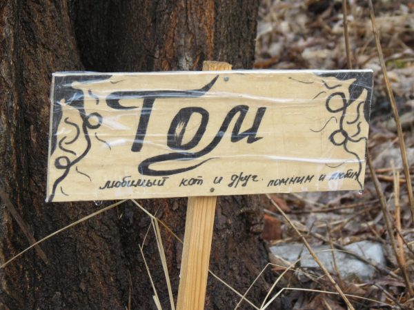 Надгробная табличка с надписью «Том»