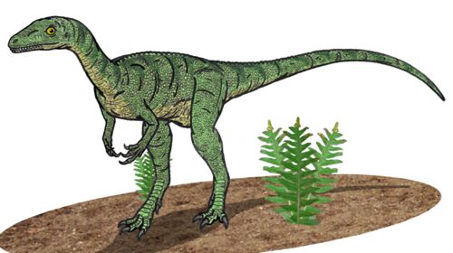 ранний динозавр Эораптор (Eoraptor)