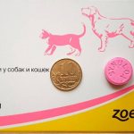 Синулокс для кошек и собак инструкция по применению