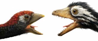 Сравнительная физиология динозавров и птиц. Популярно о малоизвестном. Часть 1 «Кости титанов» - 1