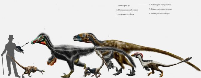 Сравнительная физиология динозавров и птиц. Популярно о малоизвестном. Часть 1 «Кости титанов» - 2