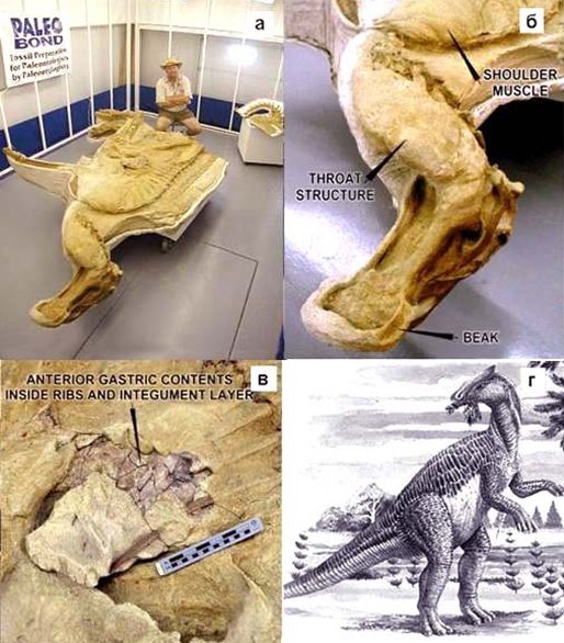 Сравнительная физиология динозавров и птиц. Популярно о малоизвестном. Часть 1 «Кости титанов» - 27
