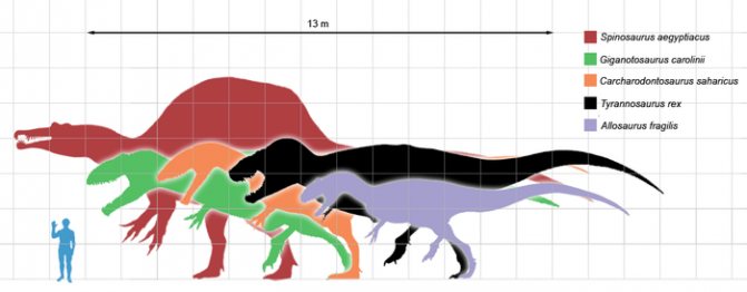 Сравнительная физиология динозавров и птиц. Популярно о малоизвестном. Часть 1 «Кости титанов» - 3