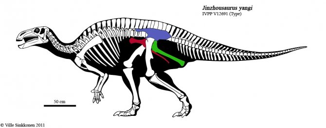 Сравнительная физиология динозавров и птиц. Популярно о малоизвестном. Часть 1 «Кости титанов» - 6