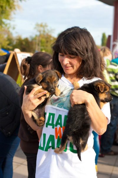 Волонтёр с щенками на руках