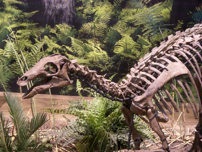 всемирная история динозавры